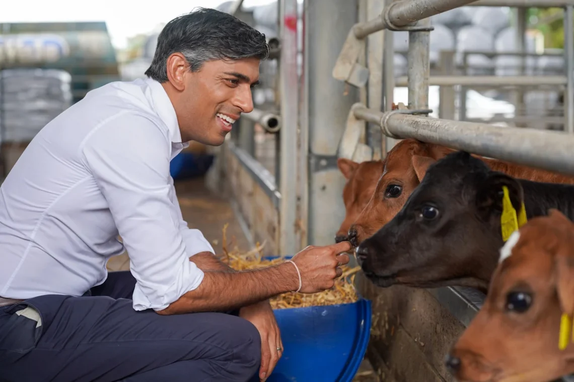 Ρίσι Σούνακ: Ο ζάπλουτος «μαχαραγιάς των αγελάδων», η Goldman Sachs και το ινδικό διαμάντι που θυμίζει τα… μάρμαρα του Παρθενώνα