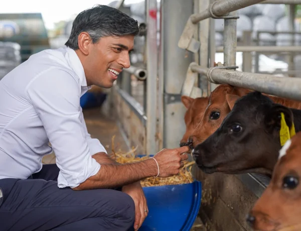 Ρίσι Σούνακ: Ο ζάπλουτος «μαχαραγιάς των αγελάδων», η Goldman Sachs και το ινδικό διαμάντι που θυμίζει τα… μάρμαρα του Παρθενώνα